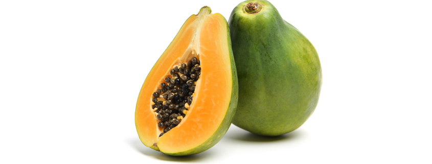 Papaya Fermentata (FPP®) o disidratata?